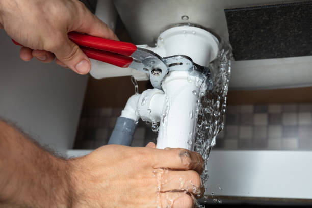 Best Flood restoration services  in Fellsmere, FL