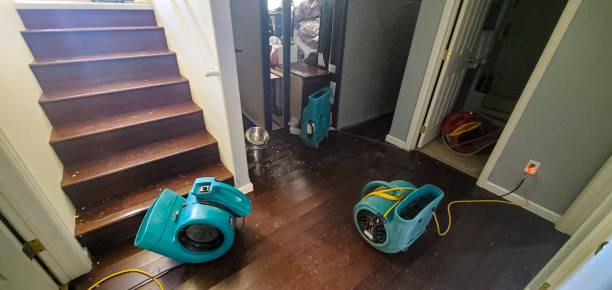 Best Water damage restoration insurance claims  in Fellsmere, FL