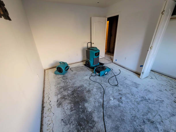 Best Emergency water damage restoration  in Fellsmere, FL
