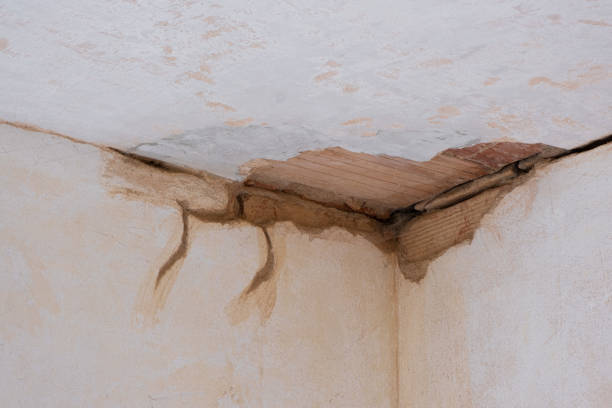 Best 24/7 water damage repair  in Fellsmere, FL