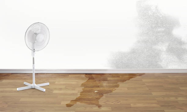 Water damage restoration insurance claims in FL