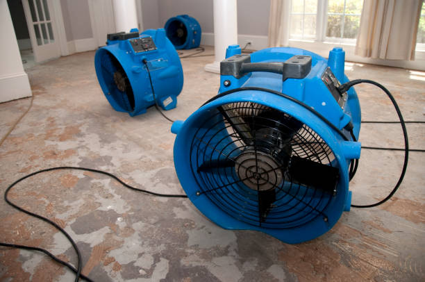 Best Carpet water damage restoration  in Fellsmere, FL