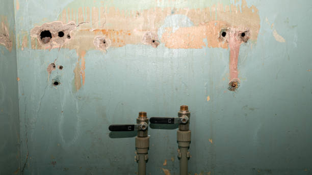 Best Water damage contractors near me  in Fellsmere, FL