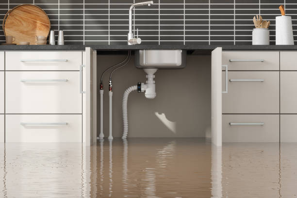 Best Water damage restoration near me  in Fellsmere, FL