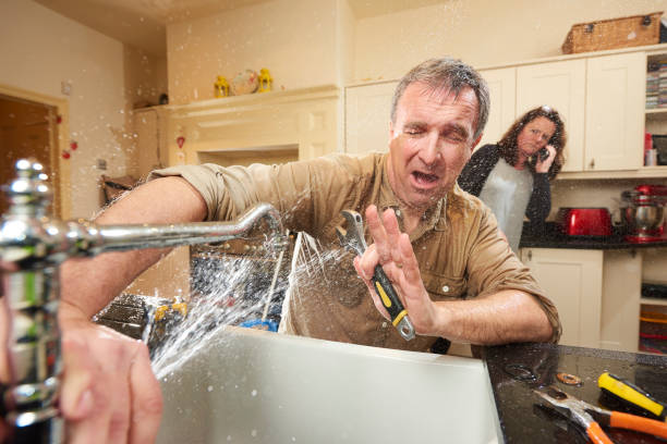 Best Flooded house restoration  in Fellsmere, FL